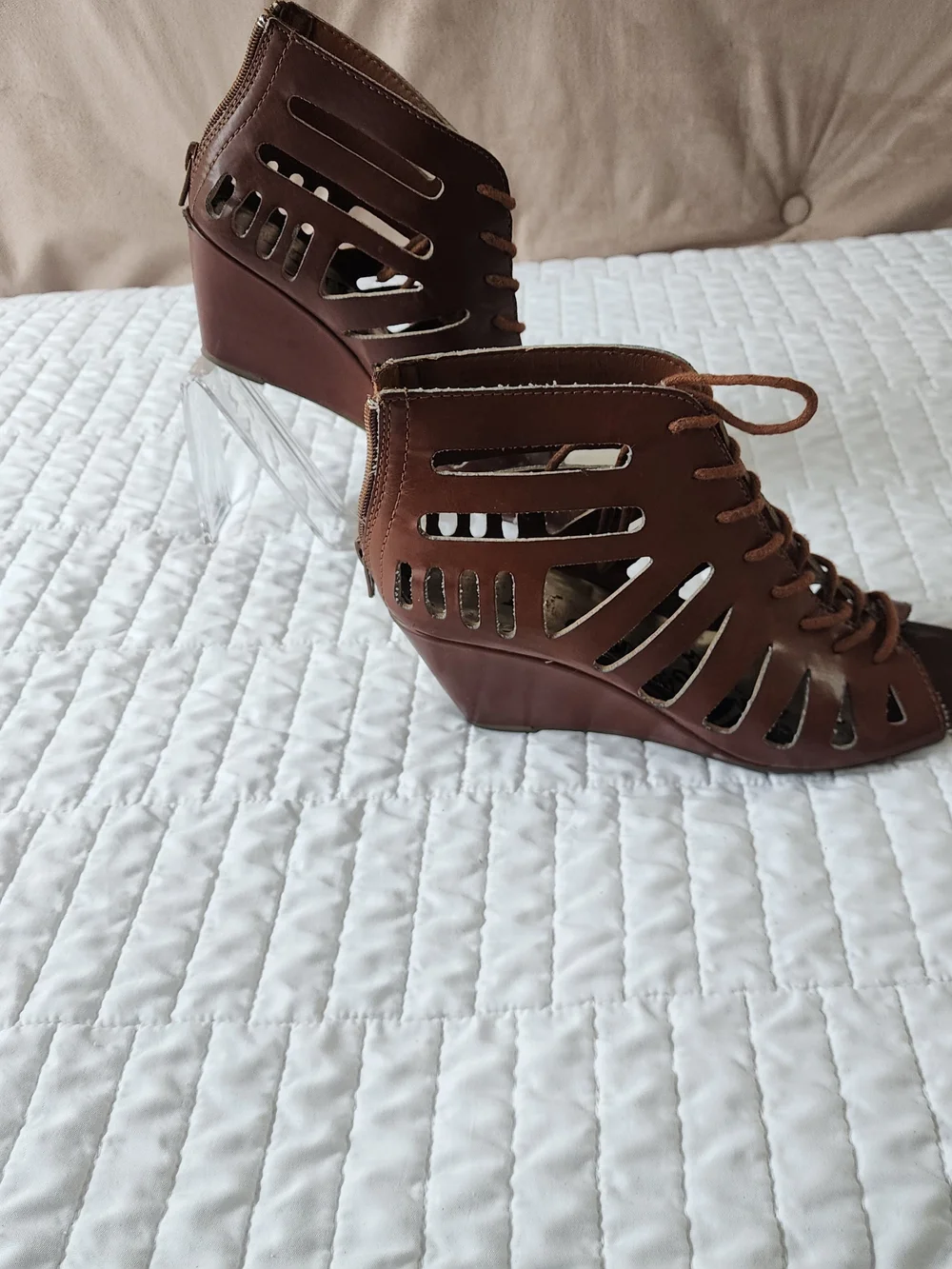 Brash caged gladiator